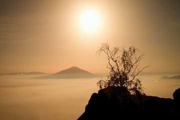 The island with tree. Full moon night in a beautiful mountain.  Sandstone rock peaks increased from ocean of foggy