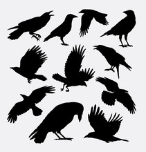 Crow Bird, Poultry Animal Silhouette. Good Use For Symbol, Logo, Web Icon, Mascot, Game Elements, Or Any Design You Want. Easy To Use, Edit, Or Change Color.