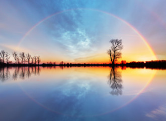 Aufkleber - Tree and sun on lake sunrise