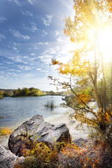 Wall Mural - landscape with rocks and trees on beach