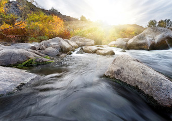 Wall Mural - stones in mountain river