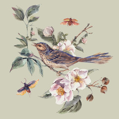 Leinwandbilder - Vintage Greeting Card with Blooming Apple Trees and Birds