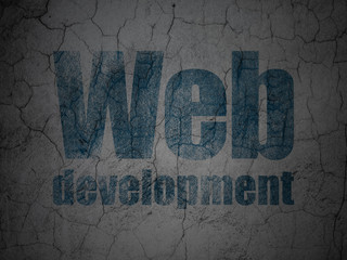 Web development concept: Web Development on grunge wall background