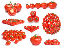 Tomatoes Collection