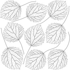 contoured aspen leaves