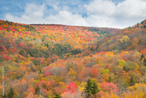 Fotografie, Obraz Fall Foliage in the Mountains of West Virginia along scenic high