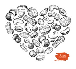 Wall Mural - Vector hand drawn nuts illustration in heart shape