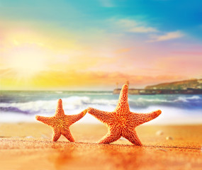 Two starfishes on a summer beach