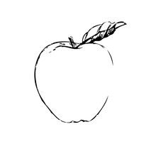 Apple Sketch Vector