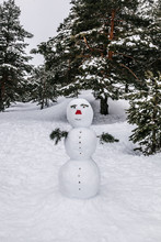 Snowman In A Winter Scenery