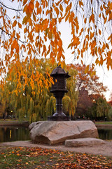 Wall Mural - Boston Public Garden..