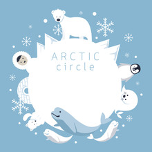 Arctic Circle Frame, Animals, People, Winter, Nature Travel And Wildlife