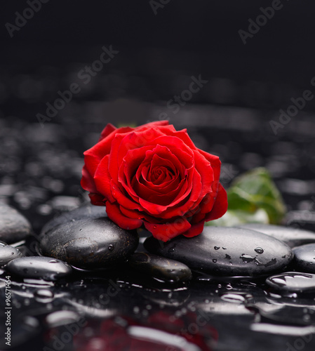 Naklejka nad blat kuchenny Still life with Red rose and wet stones