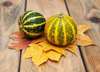 Wall Mural - autumn pumpkins