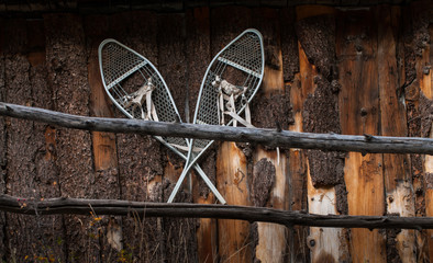 Vintage Snow Shoes