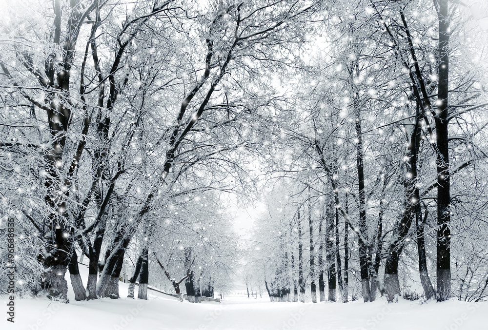 Foto-Schiebegardine ohne Schienensystem - Winter scenery, snowstorm in park