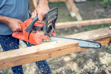 Wall Mural - workers using chainsaw cutting and sawing industrial construction wood. Laborer slicing timber