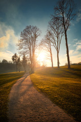 Canvas Print - Path autumn park