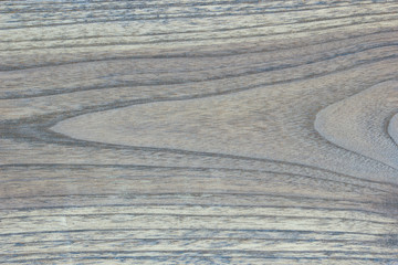 Wall Mural - Texture of Wood background closeup.
