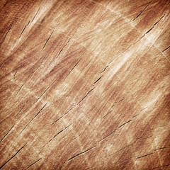 Wall Mural - Wood texture of cut tree trunk, close-up