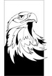 Eagle head in black interpretation 