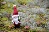 Fototapeta  - Santa standing on the moss