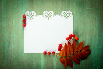 autumn leaves of birch, mountain ash, rowan fruits on a backgrou