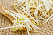 Mung beans or bean sprouts