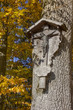 geschnitztes Holzkreuz am Baum mit Herbstlaub