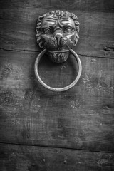 Wall Mural - Knocker