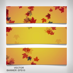 Wall Mural - Set of colorful autumn leaves banners