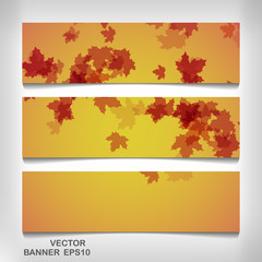 Wall Mural - Set of colorful autumn leaves banners