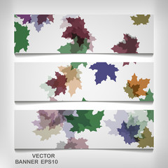 Wall Mural - Set of colorful autumn leaves banners