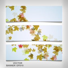 Wall Mural - Set of colorful autumn leaves banners