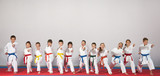 Fototapeta  - sport karate kids