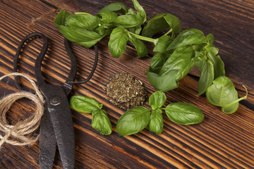 Canvas Print - Basil, Aromatic culinary herbs.