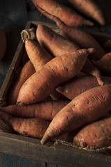 Poster - Raw Organic Sweet Potatoes