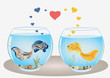 Fishes couple  in love, swimming in different aquariums, look at each other. Romantic feeling concept. Vector.