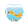 Goldfish swims in the aquarium on a white background. All objects are grouped. Vector.