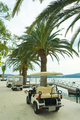 Poster - Tivat, Montenegro, October, 6, 2015: Electric automobile on Tivat embankment, Montenegro