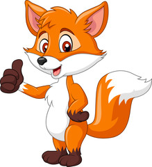 Poster - Cartoon funny fox giving thumb up isolated on white background