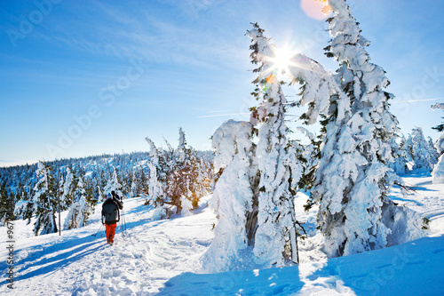 Dekoracja na wymiar  zimowy-krajobraz-w-poblizu-gory-sniezka-karkonosze-olbrzym-republika-czeska
