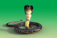 3d King Cobra Snake Isolated On Green Background