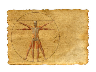 Wall Mural - Conceptual vitruvian human body drawing on old paper background