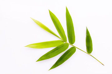  Fresh bamboo leaves border with water drop isolated on white bac