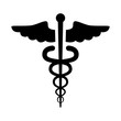 Caduceus of Hermes healthcare flat icon for medical apps and websites
