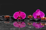 Fototapeta Kwiaty - Red two orchid with candle and therapy stones 