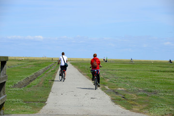 Canvas Print - Fahrradfahrer an der Nordsee