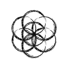 Flower Of Life Free Stock Photo - Public Domain Pictures