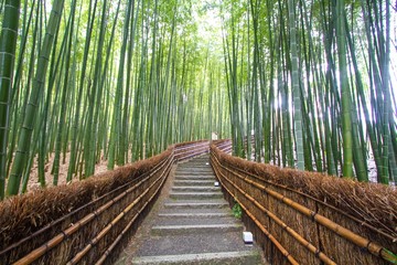  Bambusowy gaj w Kioto w Japonii